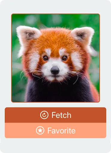 App Demo Card View